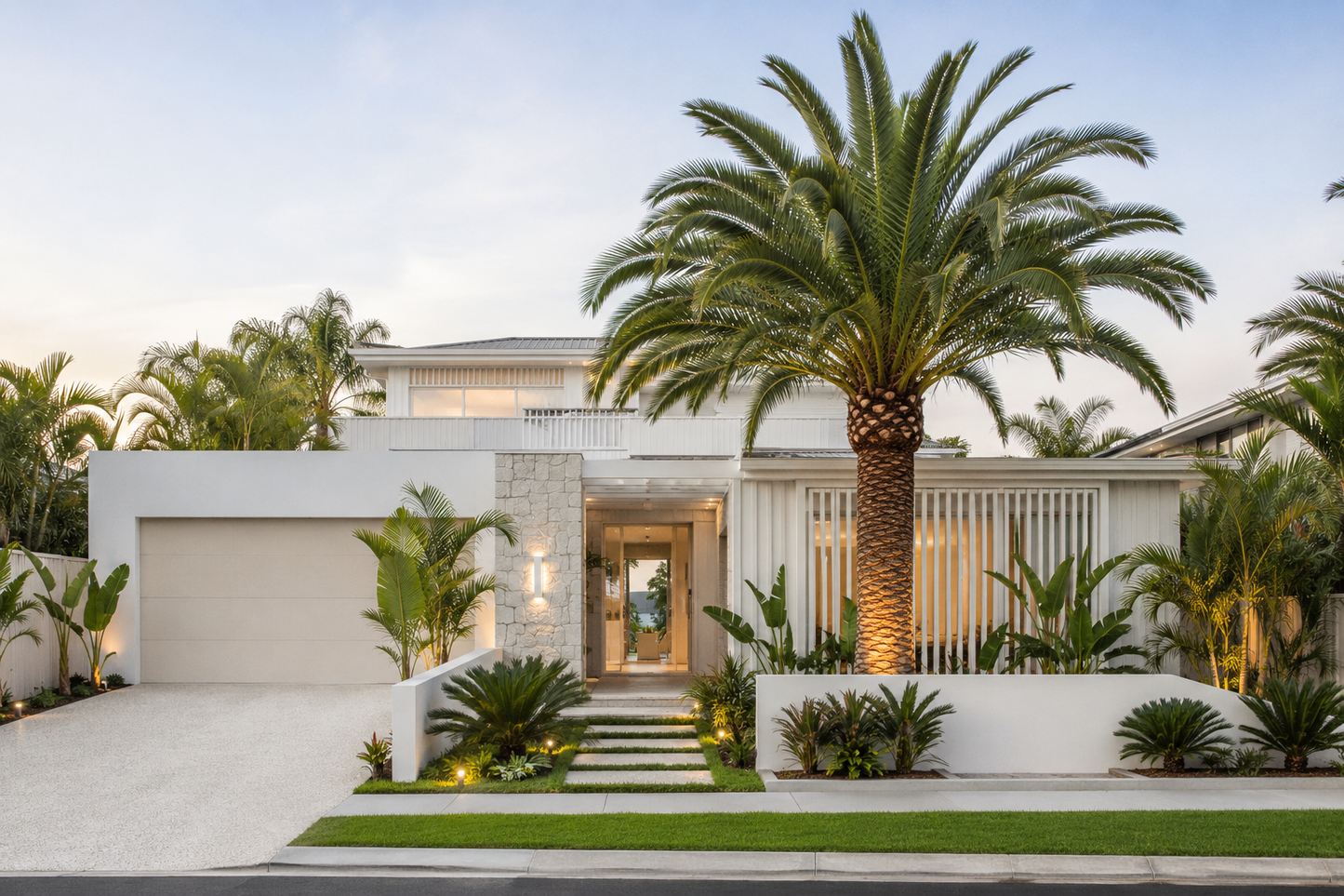 Canary Island Date Palm